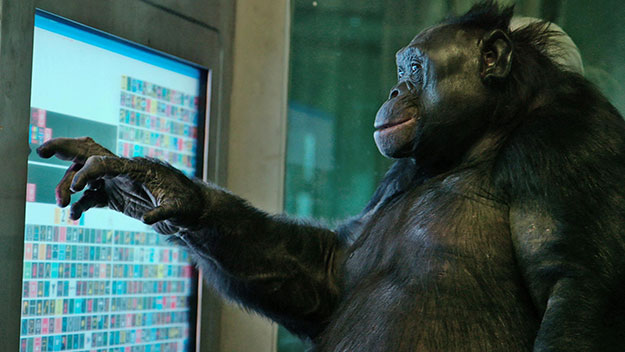 unlocking the cage pennebaker
